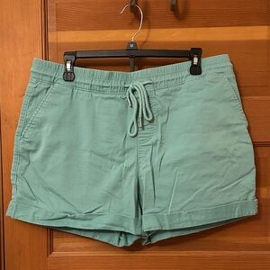 Time and Tru Aqua Cargo Shorts